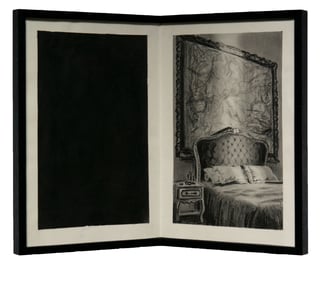 Paris Drawings - when the money disappears, Jutta Koether