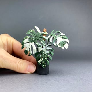 Monstera Variegata