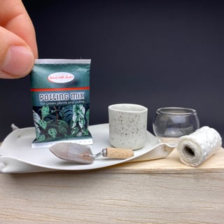 Pflanzset Grüner Daumen