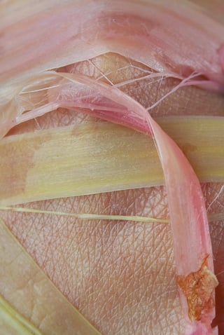 Skin to Skin (2)