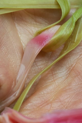 Skin to Skin (3)