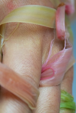 Skin to Skin (4)