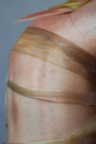 Skin to Skin (5)