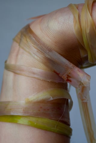 Skin to Skin (6)